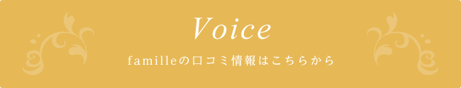 Voice